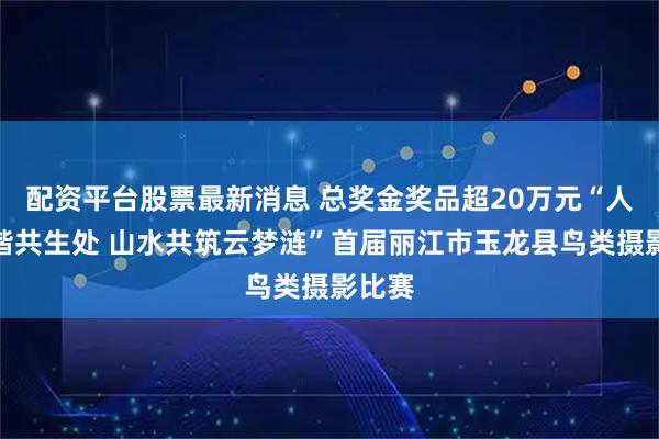 配资平台股票最新消息 总奖金奖品超20万元“人鸟和谐共生处 山水共筑云梦涟”首届丽江市玉龙县鸟类摄影比赛