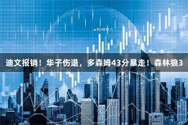 迪文报销！华子伤退，多森姆43分暴走！森林狼3
