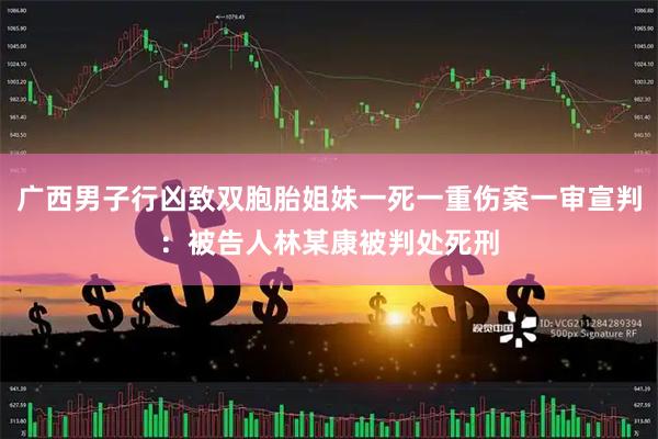 广西男子行凶致双胞胎姐妹一死一重伤案一审宣判：被告人林某康被判处死刑